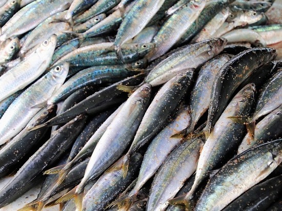 В Сортавала нашли в продаже подозрительную скумбрию В Сортавала нашли в продаже подозрительную скумбрию