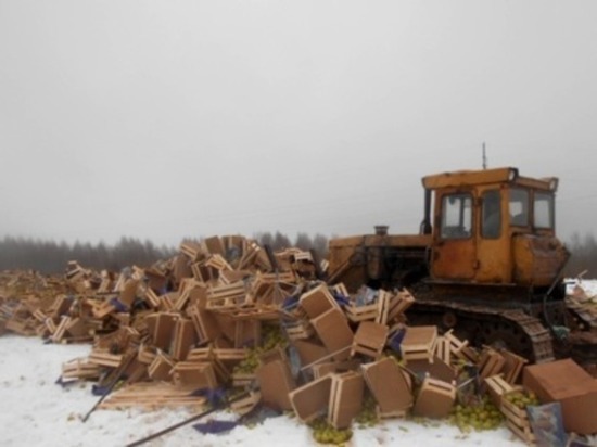 В Смоленской области уничтожили более 76 тонн подозрительных фруктов