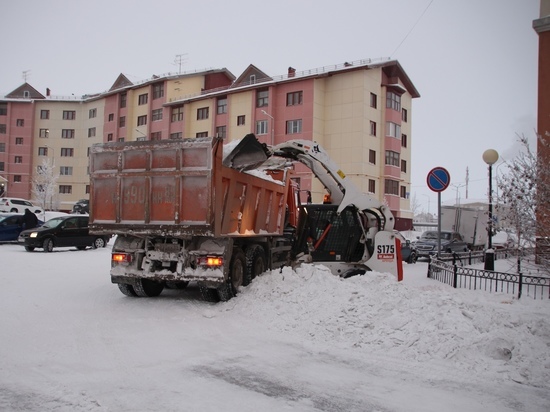 В столице Ямала запретили складировать снег во дворах