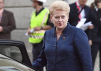 Премьер-министр Литвы Даля Грибаускайте объявила о том, что ее страна первой вводит санкции против России в связи с инцидентом в Керченском проливе