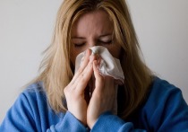Впереди зима, а значит, эпидемии гриппа и простуды неизбежны