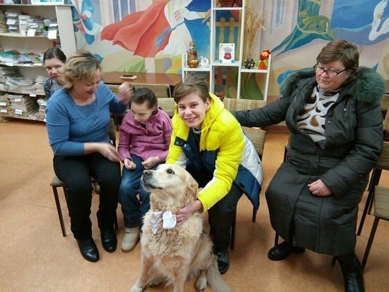 Новый метод реабилитации кинешемских детей-инвалидов общением с собаками начали использовать в Кинешме