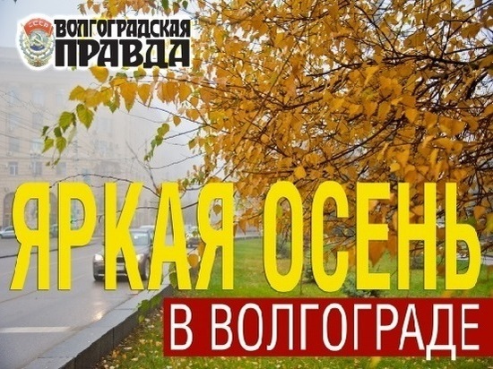 В конкурсе «Яркая осень в Волгограде» выбирают победителей