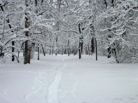 В Тверской области ожидаются снежные выходные