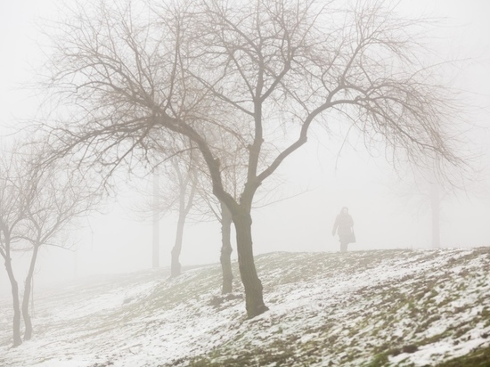 7 декабря волгоградцев и жителей области ждет туман, снег и -5ºС
