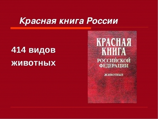 В Торопце работает выставка по страницам Красной книги