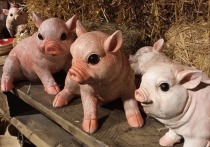 Изображение суровых кабанов вместо милых свинок предпочитают покупатели новогодних игрушек