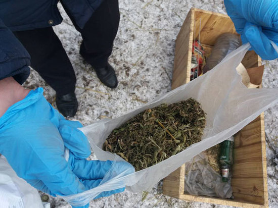 Стражи правопорядка задержали мужчину, который незаконно хранил у себя дома более 50 грамм марихуаны, которую сам собрал растения этим летом и высушил.