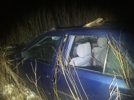 В Смоленской области после столкновения с лосем пострадал водитель