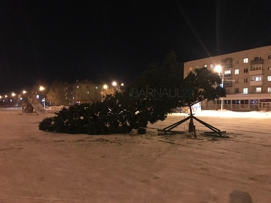 Елка в Барнауле упала в обморок