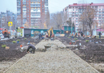 В Краснодаре начались работы по озеленению территории на углу улиц Симферопольской и Уральской в Комсомольском микрорайоне