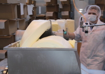 Вологодский учебно-опытный молочный завод - единственный в России, который располагает производственной площадкой для подготовки маслоделов, - чиновники Росимущества хотят лишить права практической подготовки кадров, востребованных во всей стране