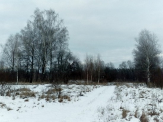 Сегодня в Смоленской области около нуля, мокрый снег