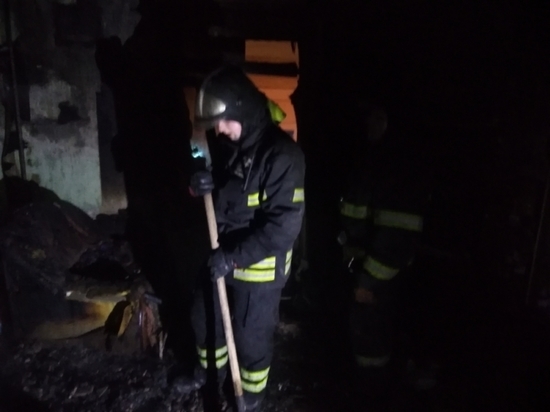 Есть пострадавший в результате ночного пожара в Новомосковске