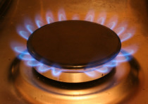 В ноябре текущего года Украина приобретала газ по рекордно высокой стоимости