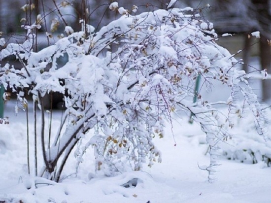 МЧС предупреждает – снегопад в Ярославле будет усиливаться