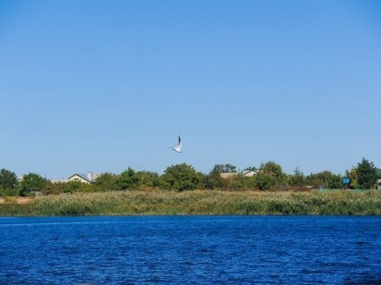 На нацпроект «Экология» Волгоградской области выделят 9 млрд рублей