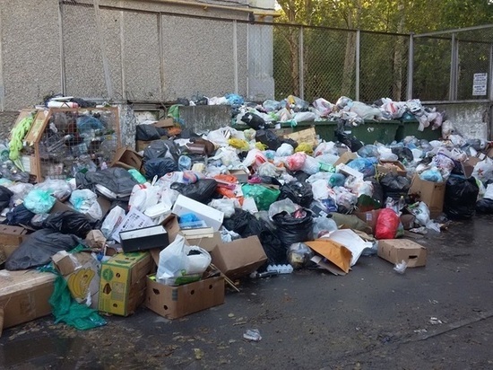 Министерство объяснило, что ждет свердловчан с началом «мусорной реформы»