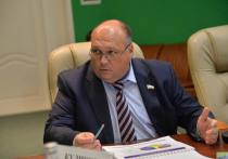 Исполняющим обязанности руководителя ведомства назначен первый замминистра Владимир Белгородский