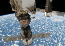 Найденная российскими космонавтами Олегом Кононенко и Сергеем Прокопьевым во время выхода в открытый космос в отверстии пристыкованного к Международной космической станции (МКС) пилотируемого корабля «Союз МС-09» затычка является марлевым тампоном, пропитанным герметиком