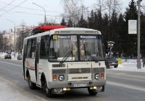 В Томске в 2019 году проезд подорожает до 30 рублей