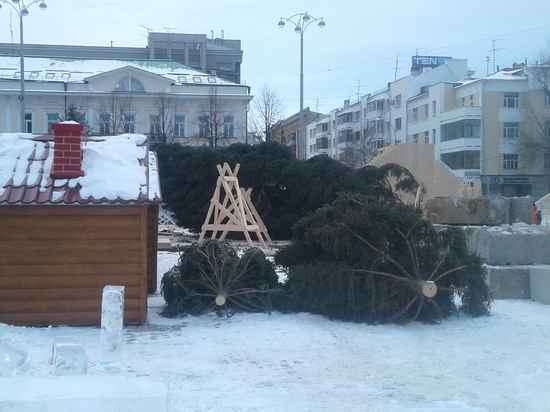 В Екатеринбург все-таки привезли главную новогоднюю елку