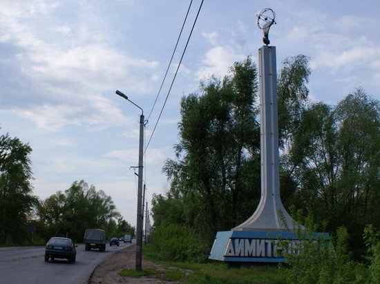 Главу города в Димитровграде выберут 18 января