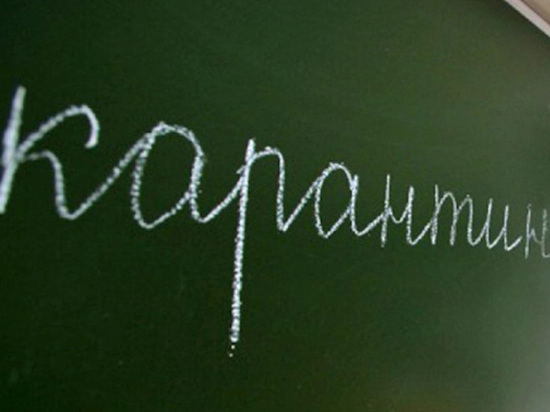 Под Воронежем из-за вспышки пневмонии закрыли школу