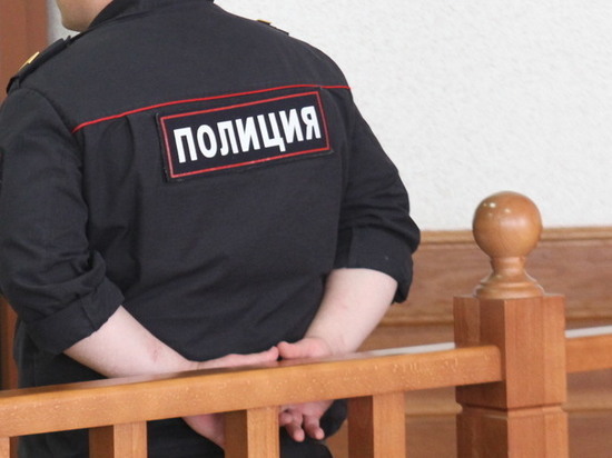 В Шадринске задержан мужчина, похитивший новогодний подарок
