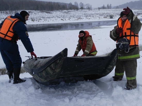 Лосиха в Тверской области выжила после провала под лёд