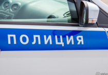 С начала текущего года в Кемеровской области 35 человек попали под суд за оскорбление сотрудников ЛУ МВД