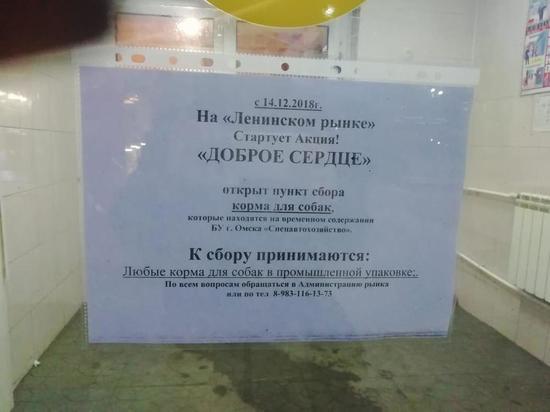 На омском рынке открыли пункт сбора корма для бездомных собак