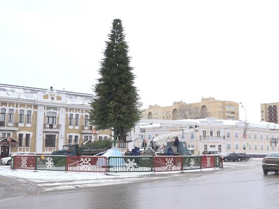 В Тамбове начали украшать главную елку В Тамбове начали украшать главную елку