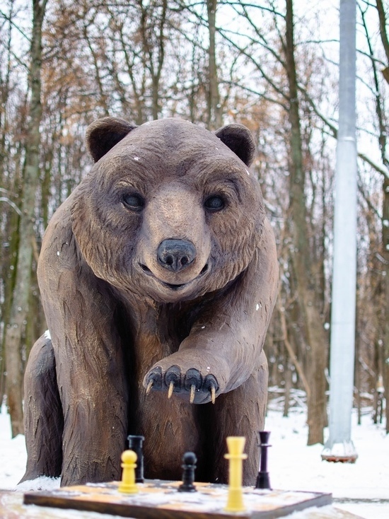 Рязанцы выбирают имя медведю-шахматисту в Лесопарке