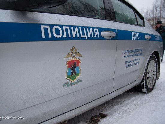 В Петрозаводске полиция оценила детскую площадку