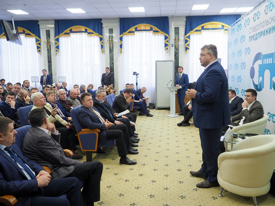  Господдержка МСП на Ставрополье вырастет до 0,5 млрд рублей