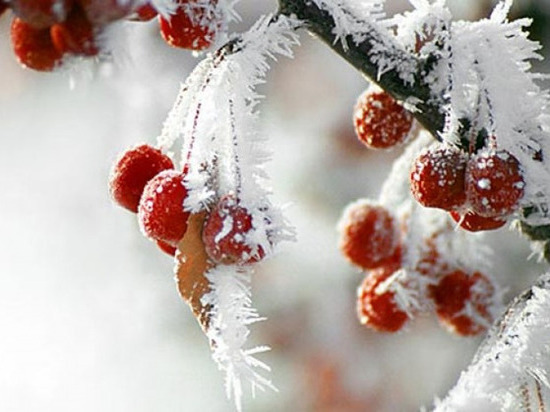 В Центр России пришли январские морозы: как низко упадут столбики термометров