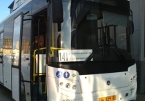 Таким своеобразным способом они выразили протест против увеличения тарифа на проезд в пригородном автобусе до Краснодара
