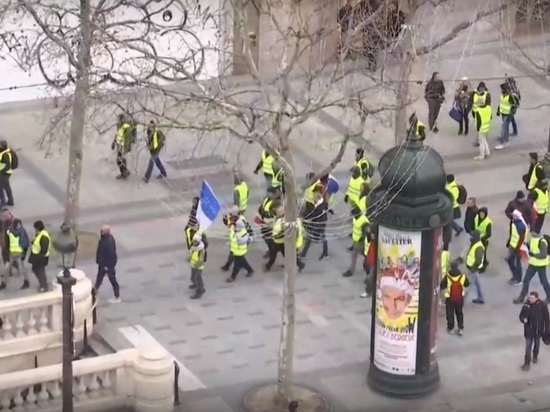 Спецслужбы Франции не нашли «российского следа» в протестах