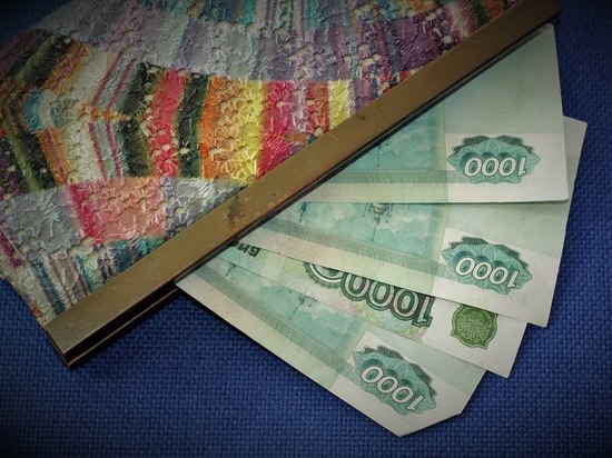 Декабрьскую зарплату петрозаводским бюджетникам пообещали до конца года