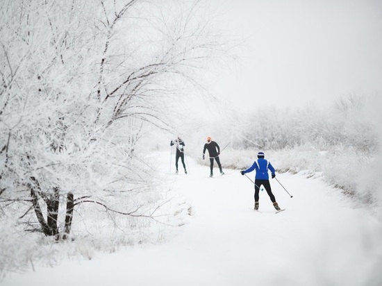 В Волгограде открыт прокат лыж в Комсомольском саду