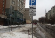 Воронежская облдума рассмотрела в первом чтении законопроект, согласно которому правила платной парковки в центре города могут измениться