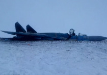 В Интернете появились фотографии украинского истребителя Су-27, который на днях потерпел катастрофу
