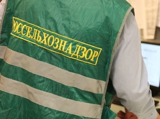 Попал на деньги: поставщик опасной кукурузы в Иваново заплатит штраф 250 тысяч