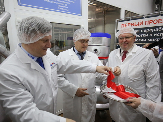 Инвесторы вложили 180 млн рублей в производство инновационного белка в Камышине