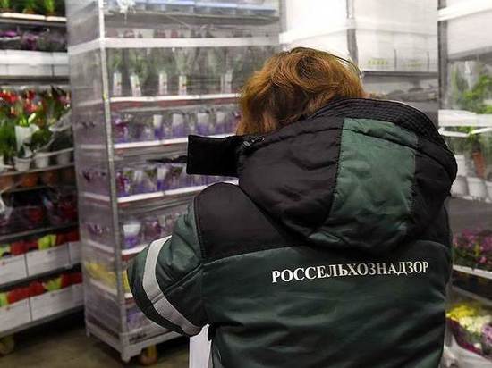 В Тверской области проверили импортные цветы, кофе и лекарства