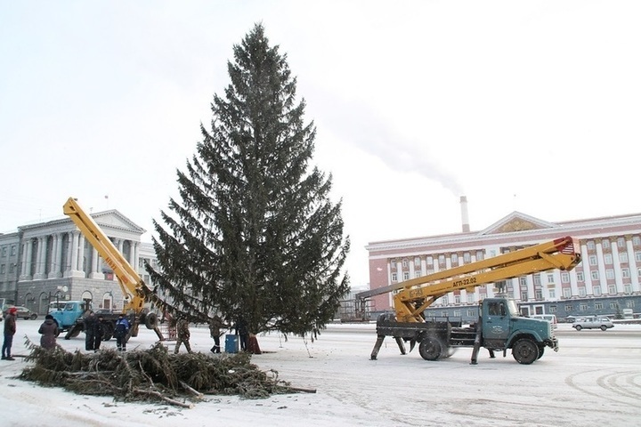 Ели курск. Елка на красной площади Курск. Елка в Курске на красной площади 2020. Главная елка Курска. Центральная елка Курск.