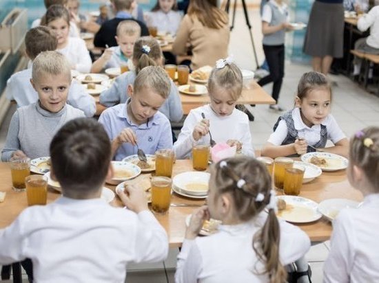 Шведский стол может появиться в волгоградских школьных столовых