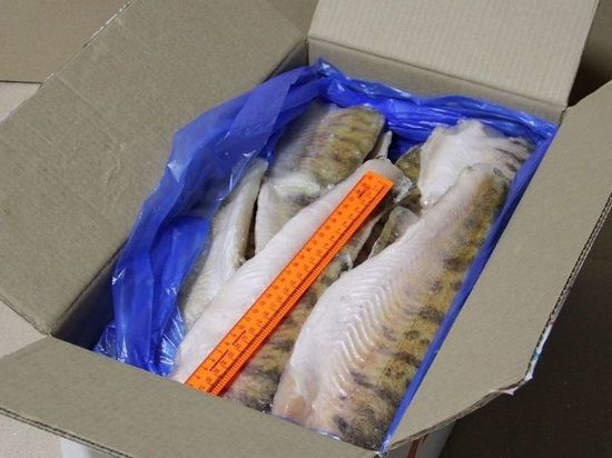 В Ивановской области из магазинов изъяли 600 кг опасной замороженной рыбы