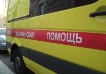 В гибели несовершеннолетней девочки, выпавшей из окна многоквартирного дома 19 декабря в Московской области, разбираются следователи